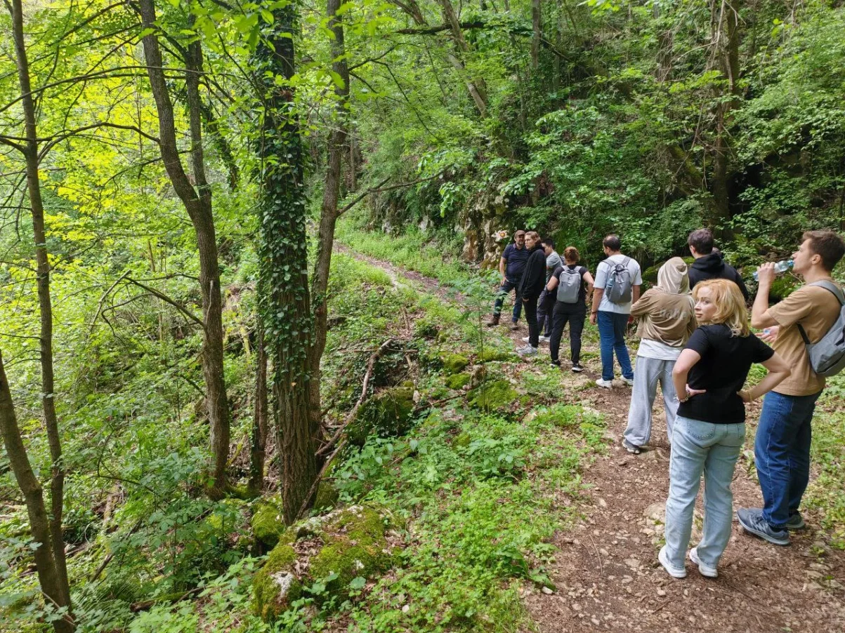 Team hiking in the forest